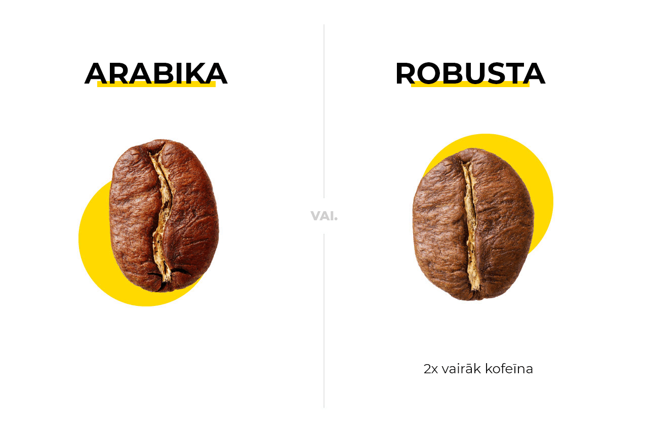 Arabika robusta